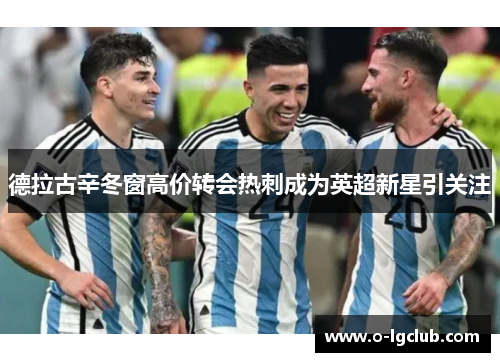 德拉古辛冬窗高价转会热刺成为英超新星引关注