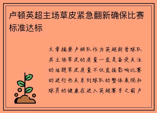 卢顿英超主场草皮紧急翻新确保比赛标准达标