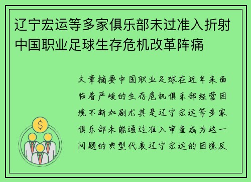 辽宁宏运等多家俱乐部未过准入折射中国职业足球生存危机改革阵痛
